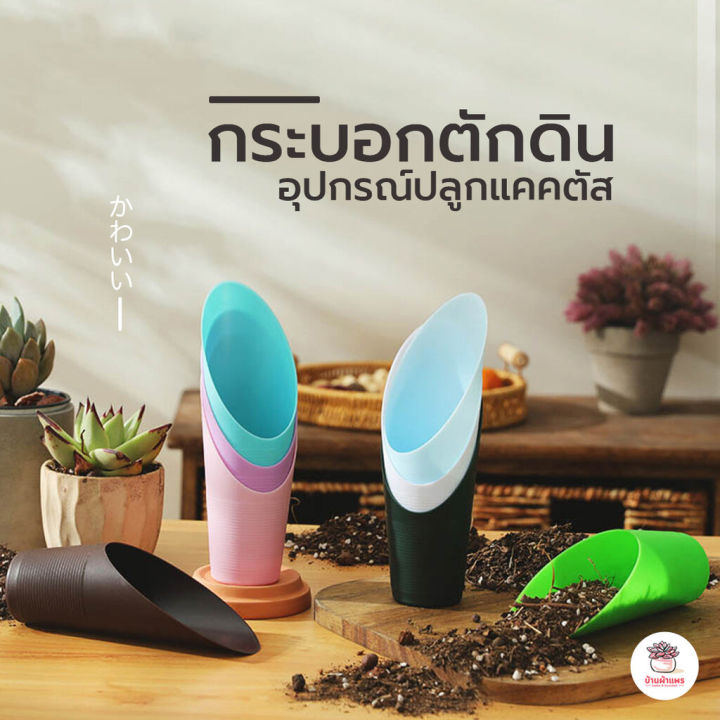 กระบอกตักดินสีชมพูสำหรับปลูกแคคตัสและไม้อวบน้ำ