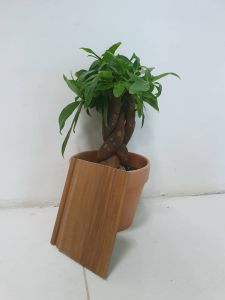 Fluted Panel Wall Panel Wood Strip Technology Wood Siling Kayu Panel Kayu 木纹天花 木纹墙板 Ready Stock FP