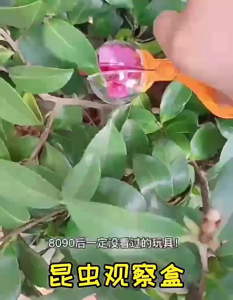 Adventure Begins! Bug Catcher Toy Insect Clamp Children Outdoor Exploring Bug Hunting Catcher Science Toy