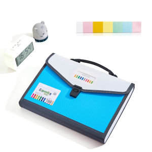 13-Pockets Expanding File Folder with Handle A4 Size Plastic Accordion Filling File Folder Expandable Portable Paper Document Organizer for Office School Home