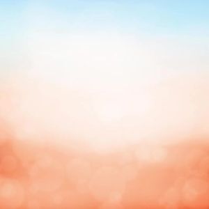 Avon Missy Bra - Avery Mimi Izzy Keisha Jasmine Addison Macy and Others