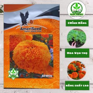 (Gói 350 hạt) Hạt Giống Hoa Vạn Thọ Thái Cao Lỡ F1- AFM 09 Cam Đỏ (Cổ Lùn) AmeriSeed (Con Ó)
