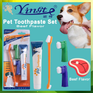 Bioline Dental Care Set Toothpaste with Mint Flavor 100g Complete Dental Care Toothpaste & Toothbrush Set