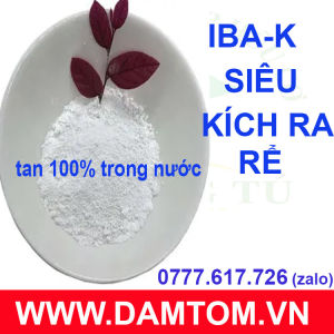 Siêu kích rễ Auxin IBA-K 98% điều hòa sinh trưởng - tan trong nước