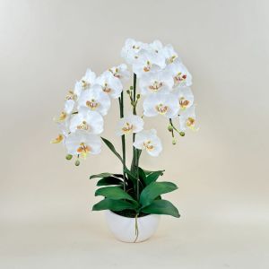 กระถางกล้วยไม้ประดิษฐ์ กล้วยไม้ฟาแลนดอกใหญ่พร้อมกระถาง ดอกไม้ปลอมขนาดใหญ่