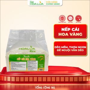 [Tết] Nếp Cái Hoa Vàng (Nếp Bắc) - Dẻo mềm thơm ngon đặc trưng - Túi 1Kg - SẢN PHẨM MỚI