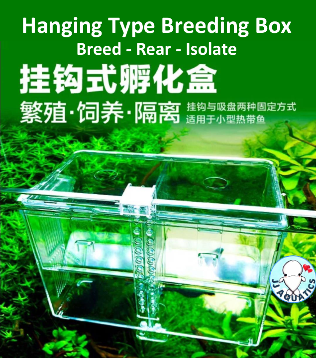 Fish Tank Isolation Box Small Fish Incubator Aquarium Fish - Temu, Fishing Incub