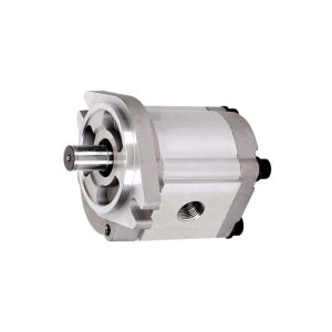 Jaguar Hydraulic Gear Pump HGP 3A Hydraulic Oil Pump Automatic