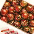 Phấn Sáp Màu Dầu Nhật Bản Pentel Oil Pastel PHN Bộ 12/16/25/36/50 Màu | Màu Sắc Tươi Sáng | An Toàn Không Độc Hại | Phấn Dầu| Cam kết hàng chính hãng. 