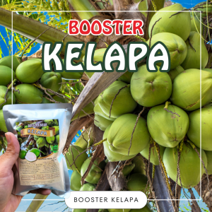 Booster Tanaman Kelapa / Pupuk Booster Hayati Khusus Tanaman Kelapa
