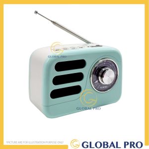 WIRATA LT-2008 Rechargeable Radio Retro Sytle Radio FM Radio Support Micro TF Card and USB MP3 Player Portable Radio
