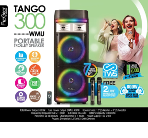 Vinnfier VF FlipGear Tango Pro 3 WMB|Pro 5 WMU|Pro 2|Pro 500|600 WMV|300 WMU|313 WMU with Wireless Mic Portable Karaoke Bluetooth Speaker KTV