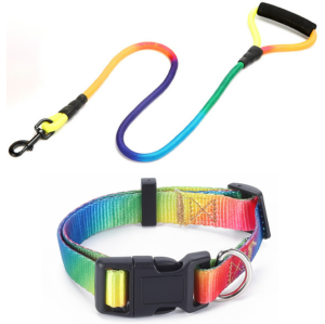 Bộ dây dắt Chó Mèo kèm vòng cổ khoá nhựa bằng chất liệu vải nylon (mẫu mới) - Hara Pet Store
