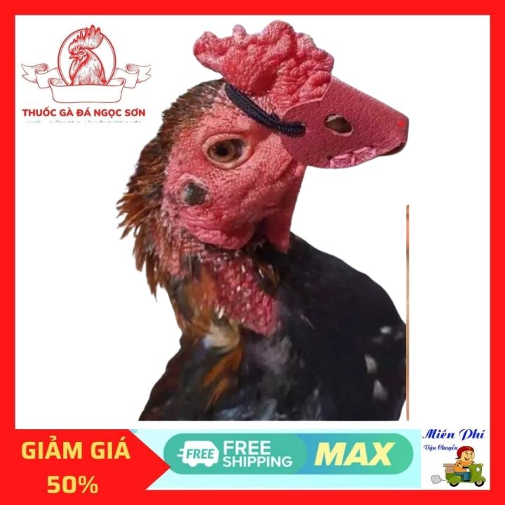 B%E1%BB%8Bt%20m%E1%BB%8F%20g%C3%A0%20lo%E1%BA%A1i%20%C4%91%E1%BA%B7c%20bi%E1%BB%87t%202%20C%C3%81I,ch%E1%BA%A5t%20li%E1%BB%87u%20da%20d%E1%BA%A7y%20d%E1%BA%B7n%20r%E1%BB%85%20s%E1%BB%AD%20d%E1%BB%A5ng.%20-%20Image%203