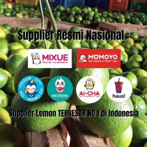 Jeruk Lemon California HIJAU 1 KG by Suur Lemoen ID