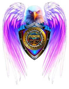 Logo in áo -mặc đi chơi  đẹpsticker  dán in áo dễ dàng thao tác bằng bàn là cực đẹp tại nhà nhiều màu chọnmẫu Đại bàng cute.ủi nhiệt.áo