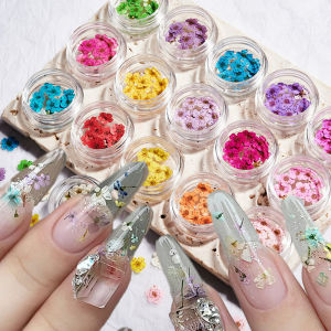 ZEEMIN 160Pcs/Set Mixed dried flowers nail art charms 16Box Colorful Mini Real Natural Dry Flowers Resin Craft Professional Nail Floral