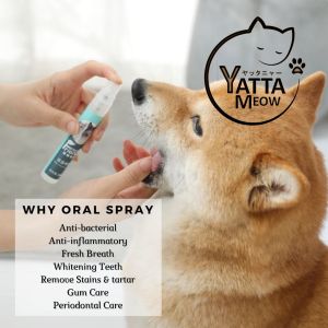 FRESH FRIEND Semburan Mulut Kucing Peliharaan Pet Cat Dog Oral Spray 宠物口腔喷雾