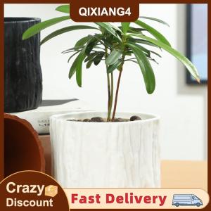 【QIXIANG4】 Nhựa giả gỗ nhà máy nồi cổ điển Bàn tròn trang trí phong cách Lọ hoa giả cây vỏ cây mọng nước cây container sáng tạo