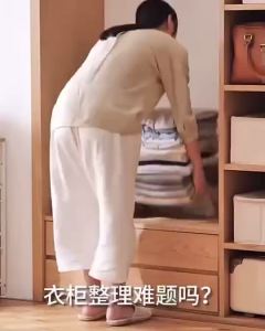 Wardrobe Clothes Stackable Storage Layered Partition Drawer Storage  Rack Drawer Rack