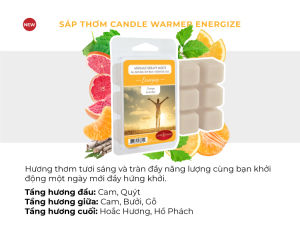 Sáp thơm Candle Warmers từ Yankee Canlde 70.9g (nhiều mùi)