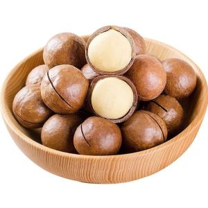 500g Macadamia Nuts Original Flavor Nuts Healthy Snacks Leisure Snacks COD