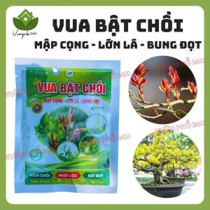Phân Bón Vua Bật Chồi cực mạnh (50gr) Kích chồi bật lộc mập cọng lớn trái bung đọt Mai Vàng Hoa Hồng Cây Kiểng Rau Màu