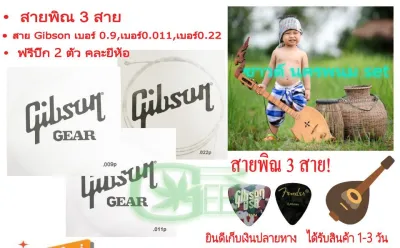 สายพิณ สายพิณโปร่ง สายพิณไฟฟ้า 3 สาย Gibson • GIBSON 0.090.0110.022 นครพนม ซาวด์ set ฟรีปิ๊ก 2 ตัว คละยี่ห้อ