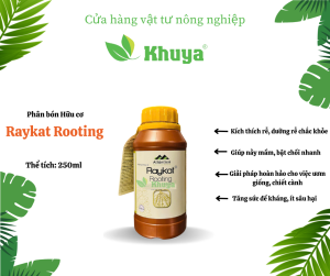 Phân bón lá Raykat Rooting 250ml Kích thích ra rễ cực mạnh