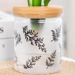 Nordic Transparent Hydroponic Plastic Planter Vase Imitation Glass Resin Creative Flower Pot for Indoor Plants Herb Garden Decor Fashionable and Minimalist Vase