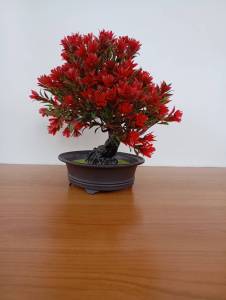 บอนไซเทียมต้นไม้พลาสติกสีเเดง ชีวิตสดใสอยู่เสมอ  ขนาด 25cm x 33cm