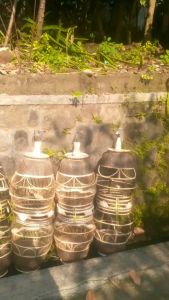 sangkar burung perkutut terbuat dari rotan penjalin.