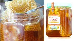 [SIÊU PHẨM VIP] 1.5KG mật ong nguyên sáp đặc biệt mật ong tổ - Cam kết mật ong rừng hoa cafe - mật ông nguyên chất - mật ong hoa cà phê - thương hiệu mật ong Họ Hồ mật thật giá trị thật - mật ông Honey