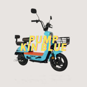 Sepeda Listrik Pacific Veloce 1.5 Dengan Roda Besar 16 Inch 500W dengan Battery 48V 12Ah