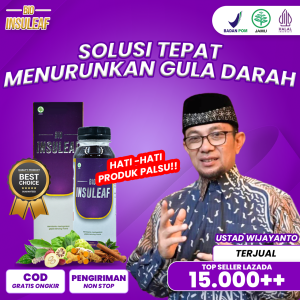 BIO INSULEAF OBAT DIABETES ORIGINAL - INSULIN ALAMI EFEKTIF TURUNKAN GULA DARAH BANTU ATASI DIABETES & OBAT KENCING MANIS
