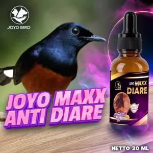 OBAT BURUNG DIARE | OBAT MENCRET | OBAT BERAK CAIR | MAXX ANTI DIARE 20 ML