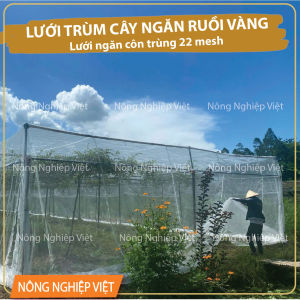 [5m-10m-20m dài] - Lưới trùm cây ăn trái ngăn ruồi vàng - Lưới ngăn côn trùng chắn chim sâu ăn lá cho rau sạch