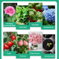 Plant Restoration Fluid Mild and Safe Botanical Flower Resurrection Solution Nourish. 