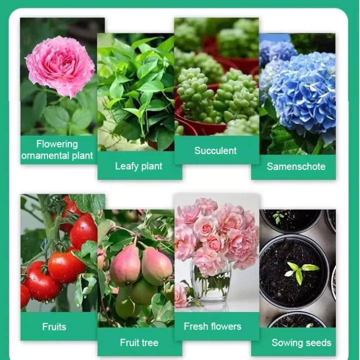 Plant%20Restoration%20Fluid%20Mild%20and%20Safe%20Botanical%20Flower%20Resurrection%20Solution%20Nourish%20-%20Image%207