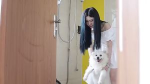 Dryer Cat Dryer 6500W Blow Suction 2 in 1 Dog Cat Grooming Blower Warm Wind Low Noise Pengering Bulu Kucing 宠物吹风机