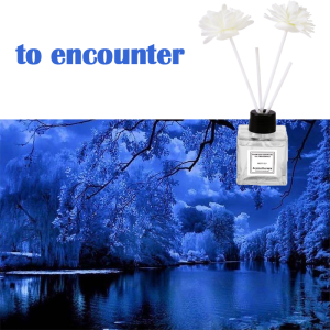 【Buy 1 Take 1】50ml Dried flowers Fragrance Bedroom Air Freshener Toilet Deodorant Fire-free aromatherapy essential