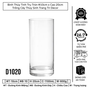 Bình Thủy Tinh Trụ Tròn D0820 Cao 20cm Trang Trí Decor Trồng Cây Thủy Sinh Cắm Hoa Hiện Đại