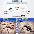 [SG Stock Ready] 12g Bayer Ant Killer/Bait Eliminate Ant Infestation Germany Product Kill Multiple Ant Species Gel Form. 