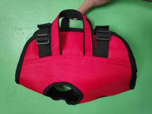 DUMMY TRAINING COCK FOR TRAINING GAMEFOWL