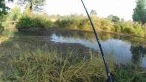 กบยาง SK 2 ใบเคาะ กบยาง ขนาด 3.5 ซม. หนัก 7 กรัม เหยื่อปลอม กบยาง อุปกรณ์ตกปลา สีกัน เป็นการผลิต เหยื่อตกปลา ราคาถูก