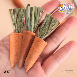 Hamster Molar Carrot Timothy Grass Rabbit Chinchilla Guinea Pig