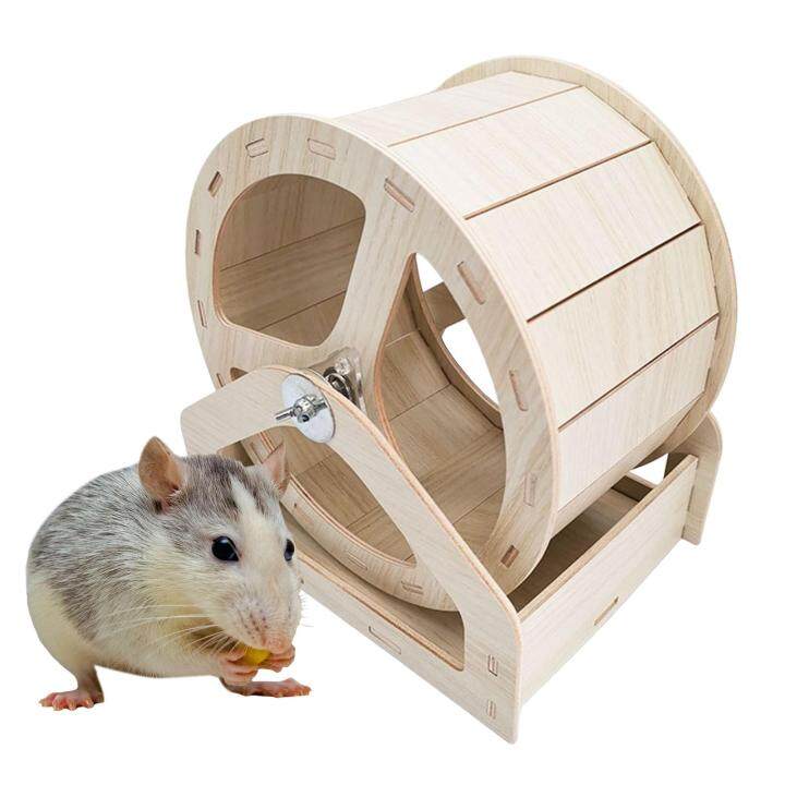 Jogging deals wheel hamster