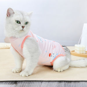 Cat Lingerie Open the File Cat Clothing Set Anti-licking Adjustable Size Soft and Comfortable