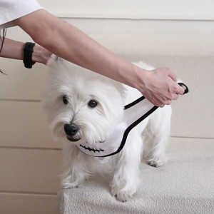 ผ้าพันคอคลุมไหล่ผ้าพันคอลายกะโหลกผ้าโพลีเอสเตอร์นุ่มสำหรับสัตว์เลี้ยงแนวฮาโลวีนสำหรับชุดแต่งกายแมวสุนัขงานปาร์ตี้