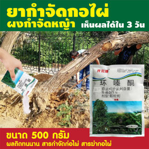 ขายดี!! ผงกำจัดรากไม้ กอไผ่ ขนาด 500g เห็นผลจริง!! 💢 ยากำจัดกอไผ่ ผงกำจัดต้นไผ่ ยาฆ่าตอไม้ ผงกำจัด รากไม้ รากพืช